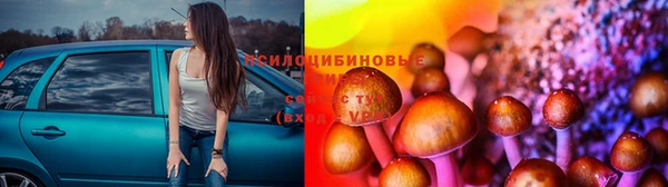 mdpv Мегион