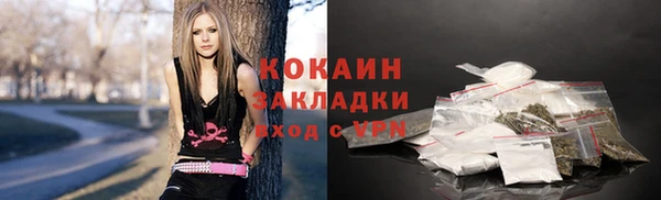 гидра Салават
