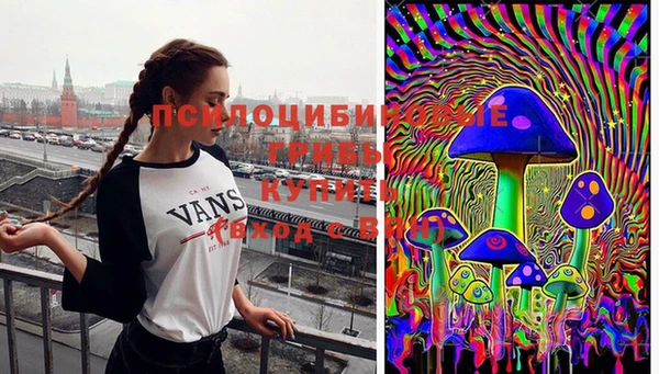 ПСИЛОЦИБИНОВЫЕ ГРИБЫ Медногорск