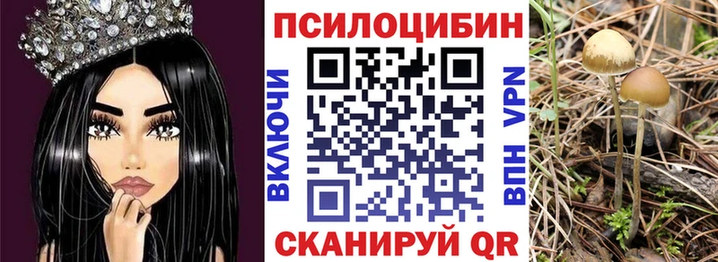 Псилоцибиновые грибы Psilocybe  купить наркотик  Анадырь 