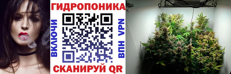 Конопля марихуана  Анадырь 